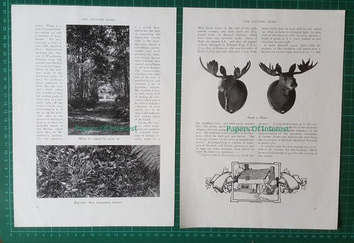 Woodlands Chalfont St Giles Mr Alexander Gordon - c.1913 Article