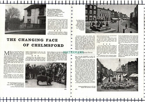 Chelmsford Essex - 1964 Article / Print