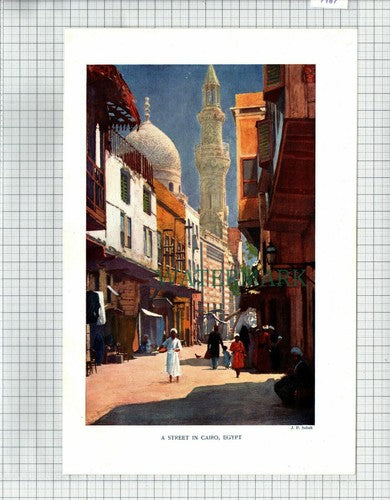 (7187) Cairo Egypt - 1906 Print