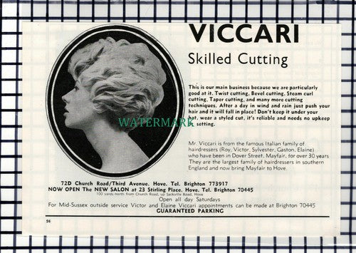 C7360) Viccari Hairdressers Hove Sussex Advert - 1967 Cutting