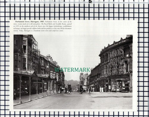 (7852) Parliament Street Harrogate Taylor's Drug Stores - 1980s Cutting