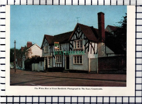 C6843) The White Hart Great Bardfield - c.1965 Cutting