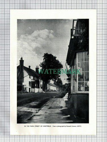 (6573) Hartfield Sussex - 1954 Cutting