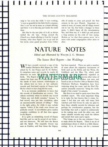 (8173) Squire Gratwick St Margaret's Church Angmering - 1950 Article