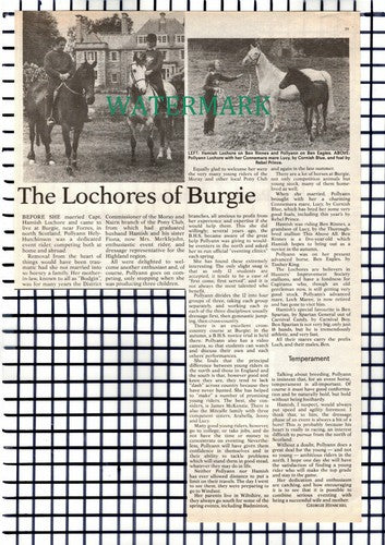 X1509) Capt Hamish Lochore Burgie Pollyanna Hely-Hutchinson - 1982 Cutting