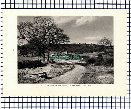 (7462) Ockley Surrey / Leith Hill Tower - 1949 Print / Cutting