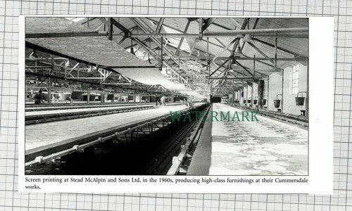 C6306) Stead McAlpin And Sons Ltd Carlisle Cummerdale Works - Cutting