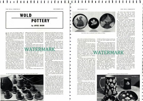(7955) Wold Pottery Routh Joyce Dixon - 1965 Article