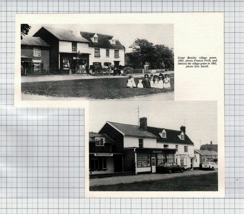 Alexina Great Bentley Essex Village Green - 1984 Clipping