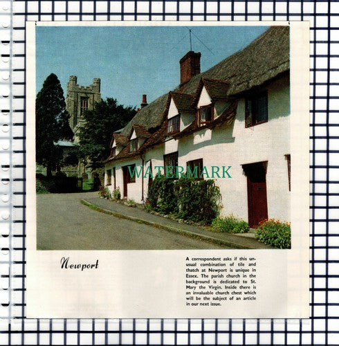 Newport Essex - 1964 Cutting / Print