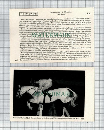 Why Stables Albert Merkel Jack Amon Horse GREY DAWN - 1956 2-Part Cutting