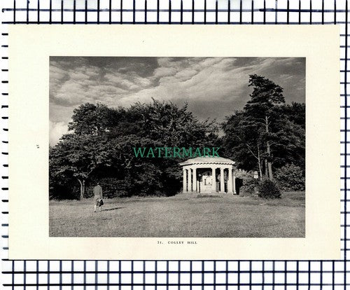(7468) Colley Hill Surrey - 1949 Print / Cutting