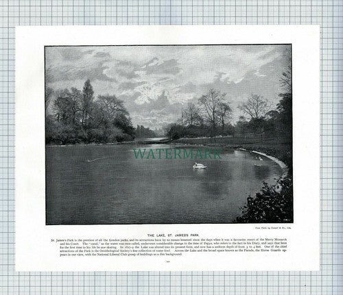 X1896) London Bridge / St James's Park Lake - c.1900 Book Print