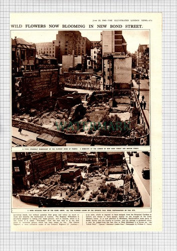 New Bond Street Bruton Street London Bomb Site War WW2 -1945 Picture Article