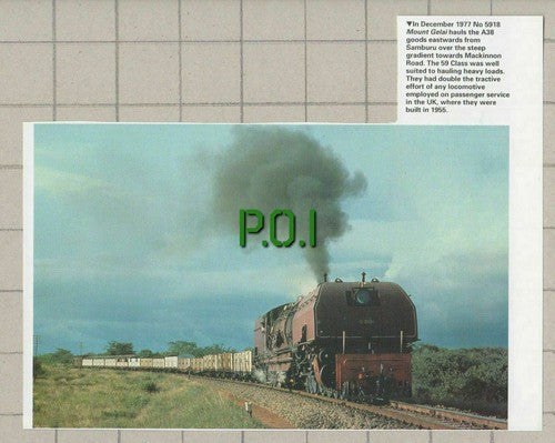 No 5918 Mount Gelai Railway Engine A38 Goods Mackinnon Road Samburu - 1992