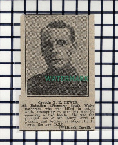 C7011) Captain T E Lewis 5th Batt South Wales Borderers Tynant - 1916 Cutting