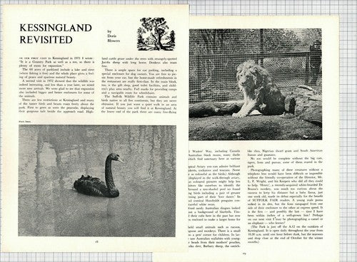 (6128) Kessingland Suffolk Wildlife Park - 1974 Article