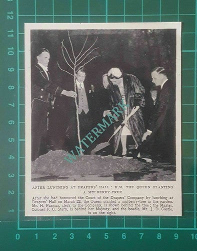 C2049) Draper's Hall Queen Planting Tree H Farmar & Col FC Stern - 1955 Clip