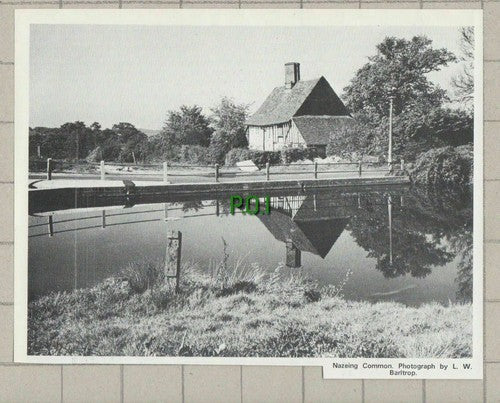 (C56) Nazeing Common Essex L W Barltrop - 1973 Clip