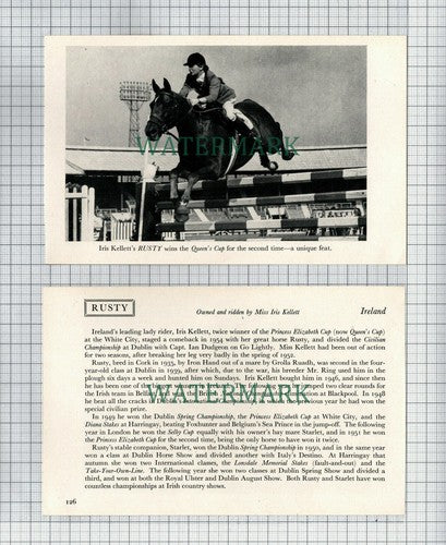 Miss Iris Kellett Horse RUSTY Ireland - 1956 2-Part Cutting / Print