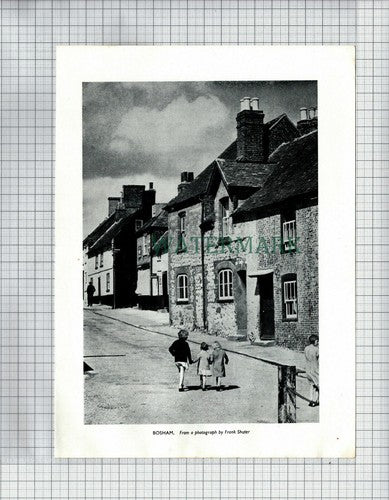 Bosham Sussex - 1954 Cutting