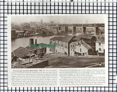 (7844) Newcastle Upon Tyne Rabbit Banks - 1980s Cutting