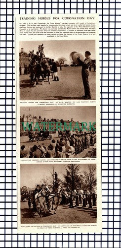X1645) Training Royal Horses For Coronation Day Woolwich Barracks 1953 Cutting