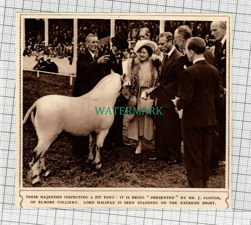 C1780) Elmore Colliery Mr J Clough Presenting Pit Pony Royal Visit - 1948 Clip