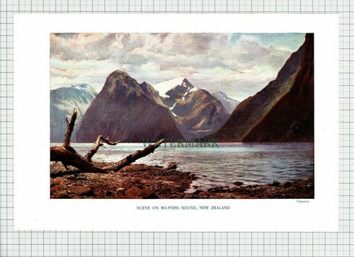 Milford Sound New Zealand - 1906 Print