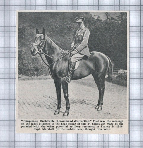 (5424) Captain Marshall World War One Horse - 1969 Clip