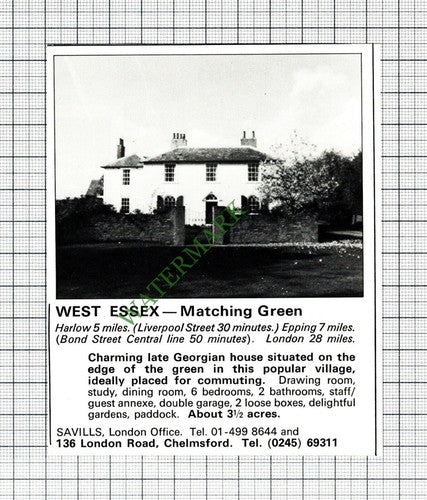 Matching Green Essex House Advert - 1977 Cutting
