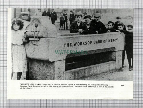 C7630) WORKSOP Trough - Cutting