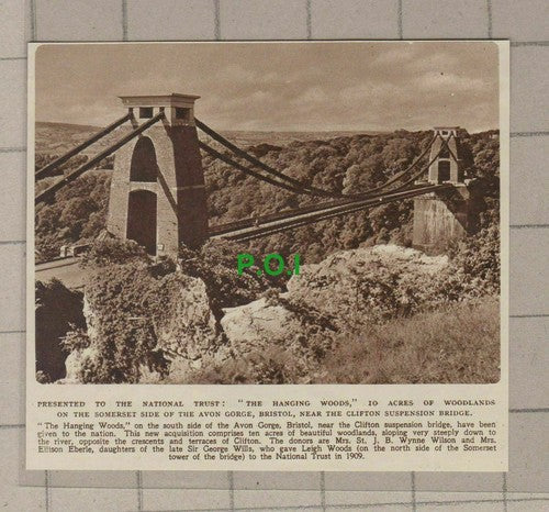 C2056) The Hanging Woods Avon Gorge National Trust - 1949 Clip
