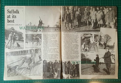 X1885) Mrs Audrey Vernon Wentworth Black Heath Fred Boxall - 1982 Article