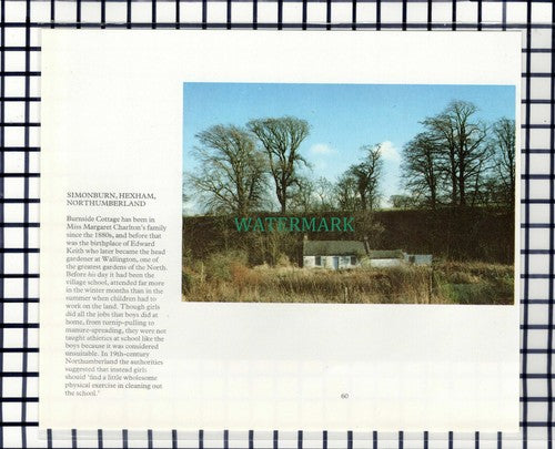 C7034) Simonburn Hexham Burnside Cottage - 1980s Cutting