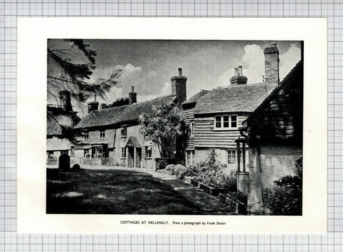 Hellingly Sussex - 1952 Cutting
