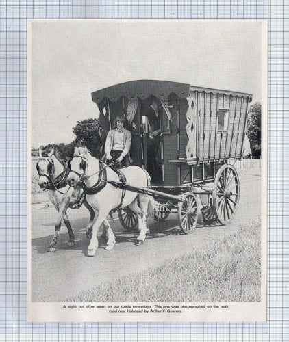 (5810) Gypsy Caravan Halstead Essex - 1972 Clip