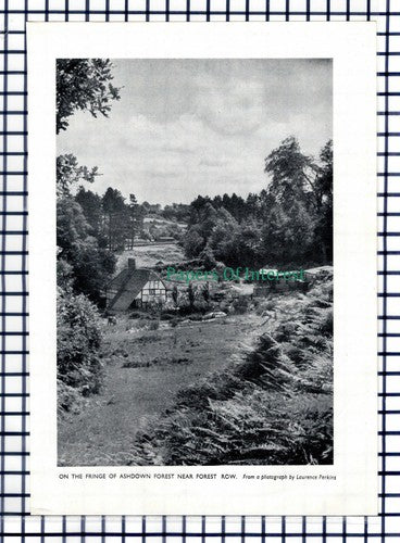 (6214) Ashdown Forest Forest Row Sussex - 1955 Cutting