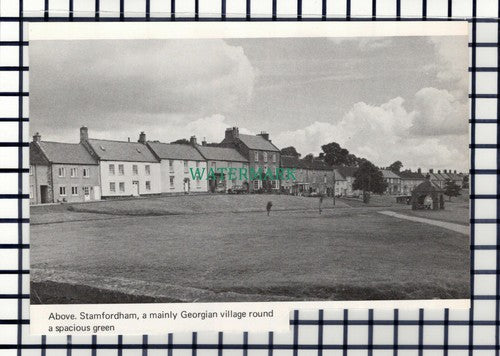 C6928) Stamfordham - 1969 Cutting