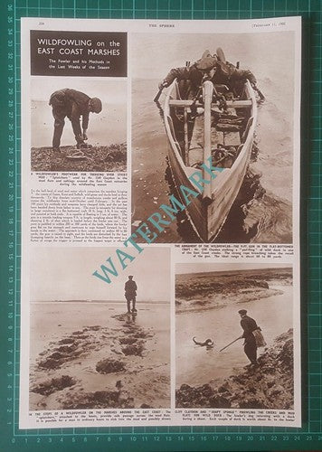 (X573) Mr Cliff Claydon Wildfowler Fowler East Coast Marshes - 1950 Clip