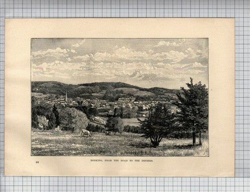 (6519) Dorking - 1894 Print / Illustration