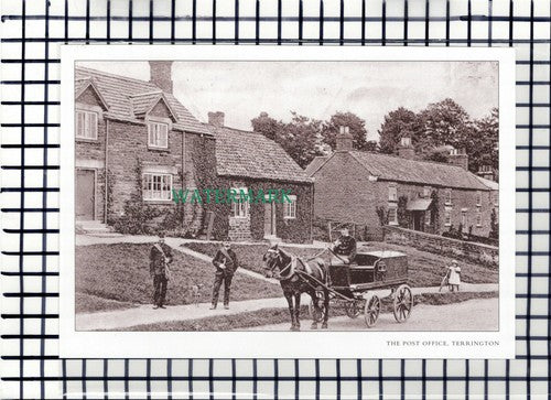 C7112) Post Office Terrington - Cutting
