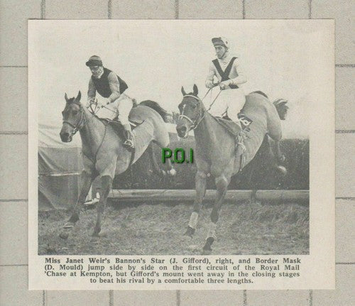 (5383) Janet Weir Bannon Star Gifford Border Mask Mould Horse Kempton 1969 Clip