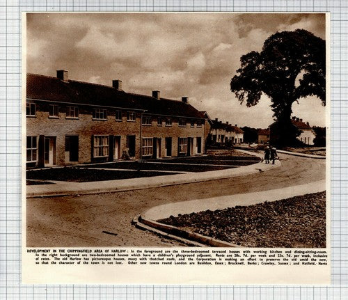 Chippingfield Harlow Essex - 1950 News Cutting