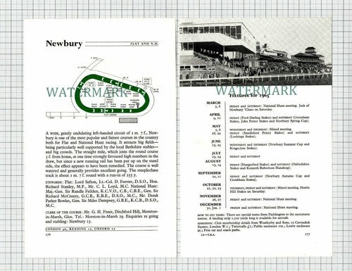 Newbury Racecourse Horse Racing - 1965 2-Part Cutting / Print