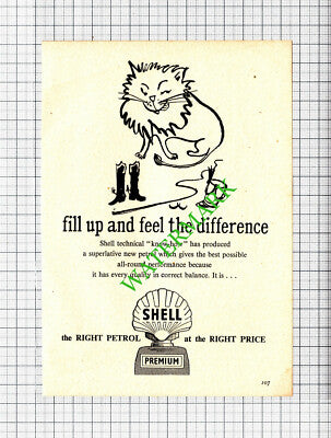 Shell Petrol Small Advert - 1953 Cutting