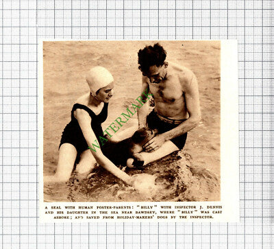 Inspector J Dennis Bawdsey Seal Rescue - 1947 Cutting