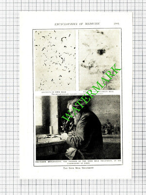 Professor Metchnikoff Sour Milk Treatment - c.1914 Book Print