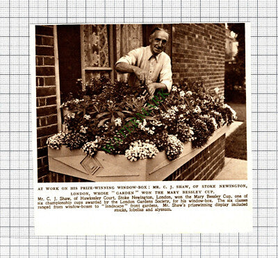 C3337) Mr C J Shaw Hawkesley Court Stoke Newington Mary Bessley - 1952 Cutting
