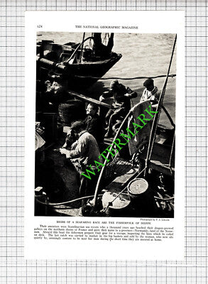Dieppe Normandy France Fishermen Fishing - c.1936 Cutting / Print